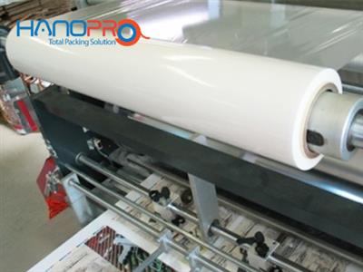 Màng PE, sản xuất trực tiếp theo yêu cầu với mọi kích thước, nhu cầu, ứng dụng